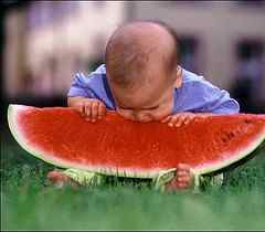 baby eating watermelon